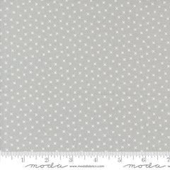 Coriander Colors Grey Xs Yardage by Corey Yoder for Moda Fabrics