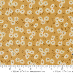 Seaglass Summer Sunshine Beach Asters Yardage by Sweetfire Road for Moda Fabrics