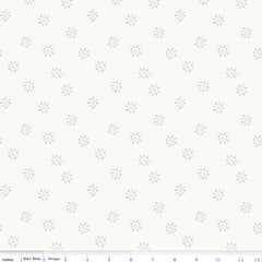 Hush Hush 4 Wink Wink Yardage by Riley Blake Designers for Riley Blake Designs