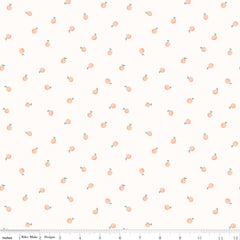 Hush Hush 4 Just Peachy Yardage by Riley Blake Designers for Riley Blake Designs