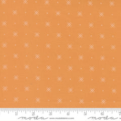 Beyond Bella Amelia Apricot Yardage by Bound Co. for Moda Fabrics