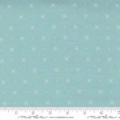 Beyond Bella Spray Yardage by Bound Co. for Moda Fabrics