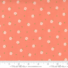 Sincerely Yours Coral Chamomile Yardage by Sherri & Chelsi for Moda Fabrics