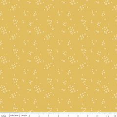 Daybreak Daisy Seeds Yardage by Fran Gulick for Riley Blake Designs