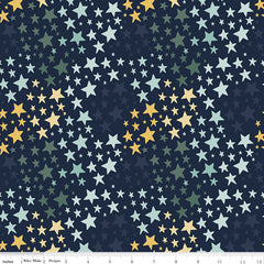 It's A Boy Navy Stars Yardage by Echo Park Paper for Riley Blake Designs